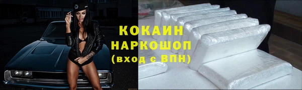 ешки Алексин