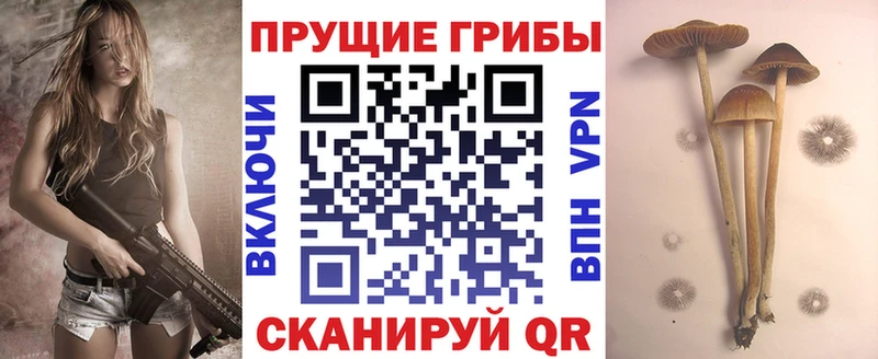 Псилоцибиновые грибы мицелий  цена наркотик  Боровичи 