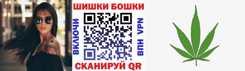 Бошки Шишки планчик  Боровичи 